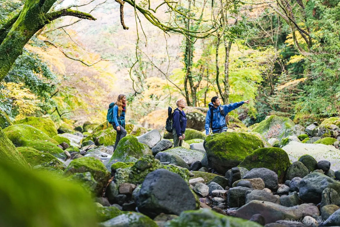 箱根「旧東海道ハイキング」